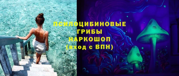 соль ск Алзамай