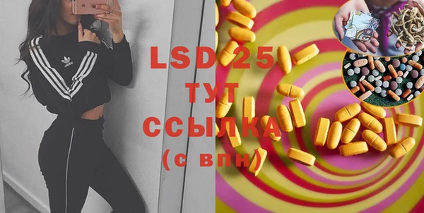 PSILOCYBIN Абдулино