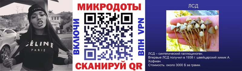 Галлюциногенные грибы Magic Shrooms  Зеленогорск 