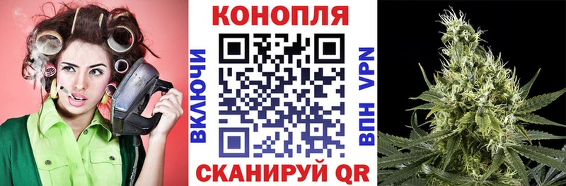 закладки Зеленогорск Канабис Amnesia